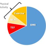 Unlocking the Secrets to Accurate Resting Metabolic Rate Calculations for Bulking and Cutting Success